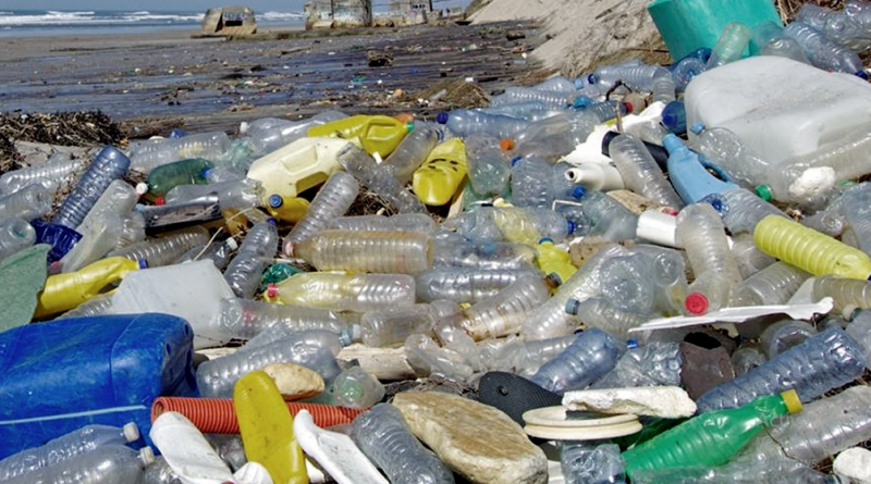 Aumentó la contaminación de costas y mares por los residuos plásticos – De  Ramos Digital