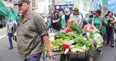 Bajo la consigna “basta de hambre” pequeños productores se movilizaron hacia Plaza de Mayo