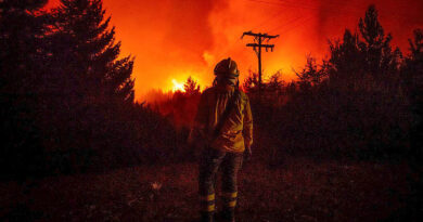 Greenpeace reclama a los Gobiernos acciones firmes para combatir los incendios